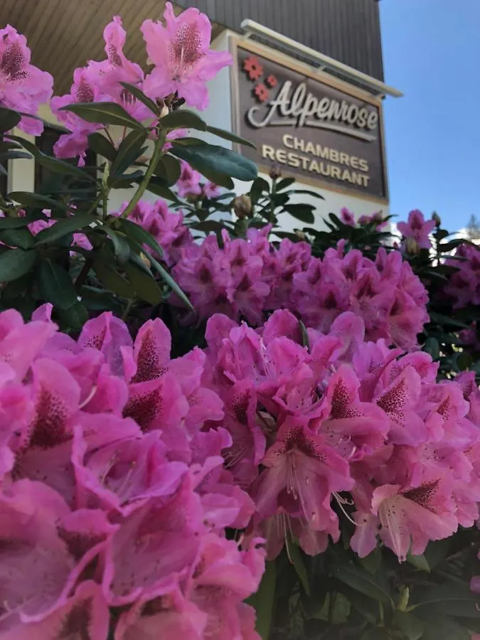 Alpenrose Chamonix Hostel 0*,  France